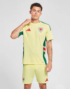 WALES 2024 AWAY JERSEY